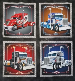 Panel  Keep on Truckin´ 2